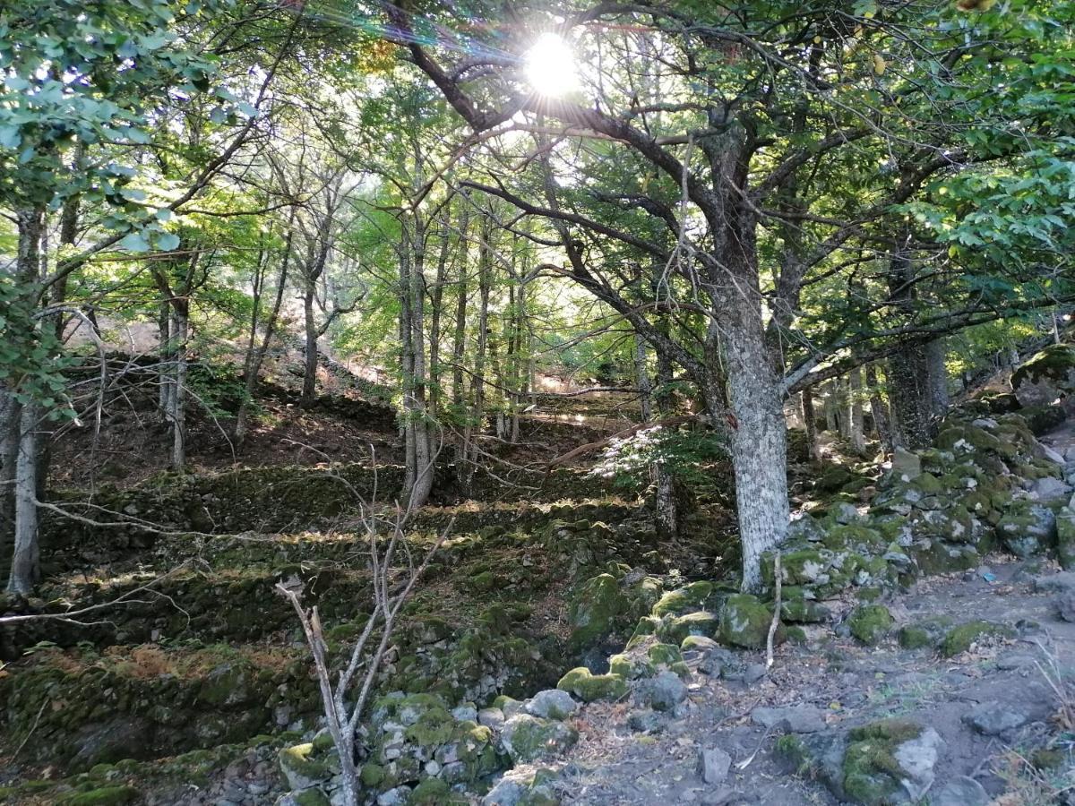 Ambroz Y Plata Villa Aldeanueva del Camino Dış mekan fotoğraf